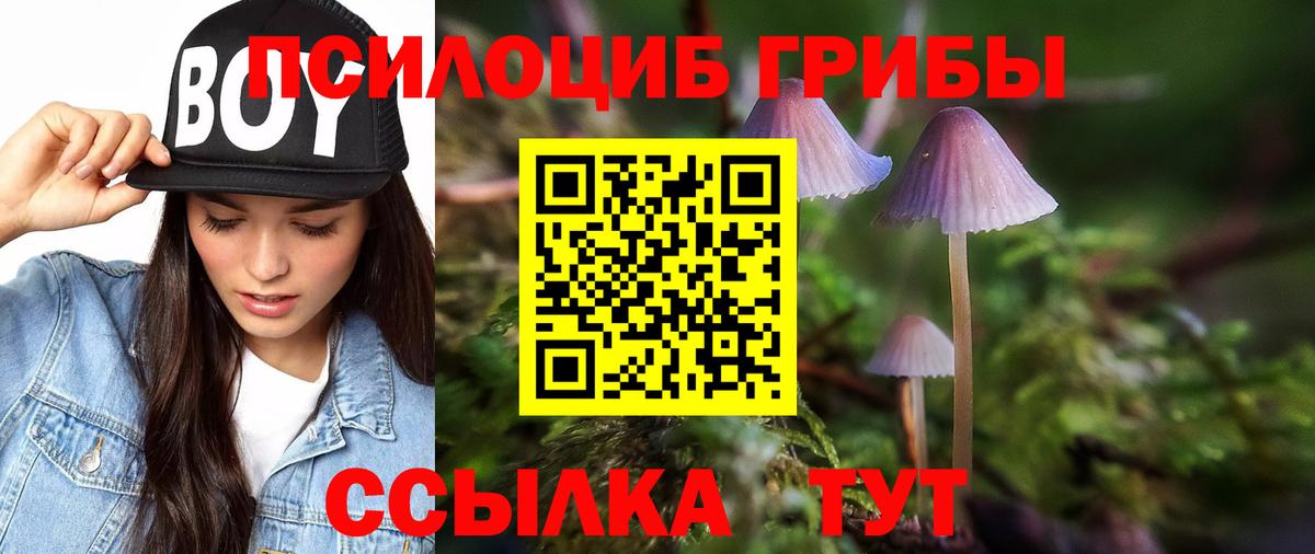 Барнаул  Псилоцибиновые грибы Psilocybe  Вход с VPN 